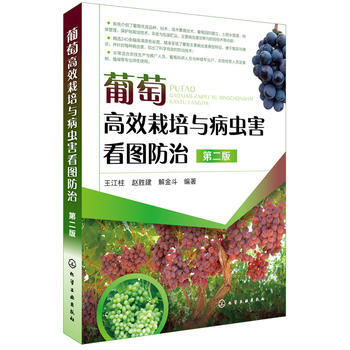 葡萄高效栽培与病虫害看图防治(第二版)*9787122313492 王江柱,赵胜建,解金斗