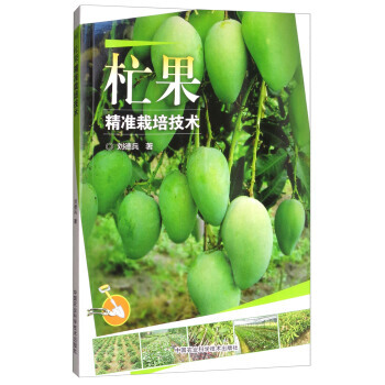 【XH】 杧果精准栽培技术 pdf epub mobi 下载