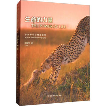 生命的力量 pdf epub mobi 下载