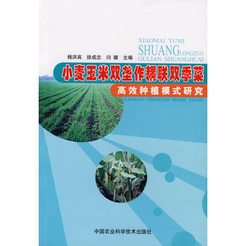 9787802332232 小麦玉米双垄作耦联双季菜高效种植模式研究 中国农业科学技术出 pdf epub mobi 电子书 下载