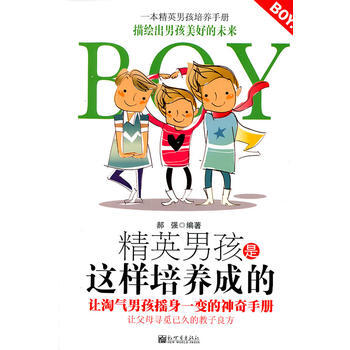 精英男孩是这样培养成的 pdf epub mobi 下载