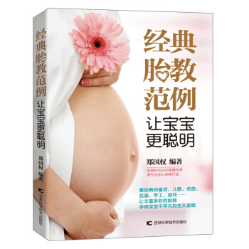 经典胎教范例 让宝宝更聪明 pdf epub mobi 下载