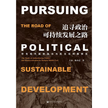 追寻政治可持续发展之路：中东现代政治与民主化问题研究 pdf epub mobi 电子书 下载