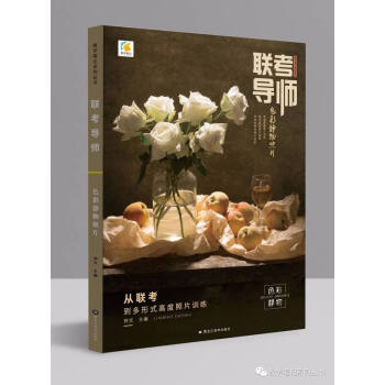 2018教学笔记联考导师色彩静物照片钟文色彩静物照片临摹范画组合色彩静物照片图酷素品演绎 pdf epub mobi 下载