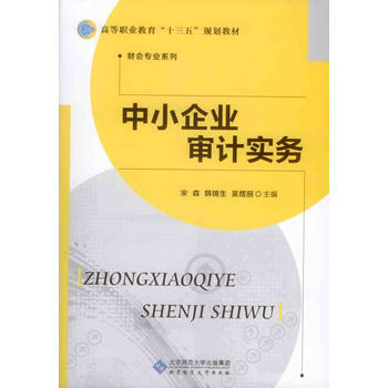中小企业审计实务 宋森 9787303210923 pdf epub mobi 电子书 下载