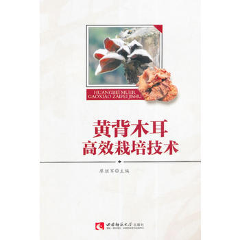 黃背木耳高效栽培技術