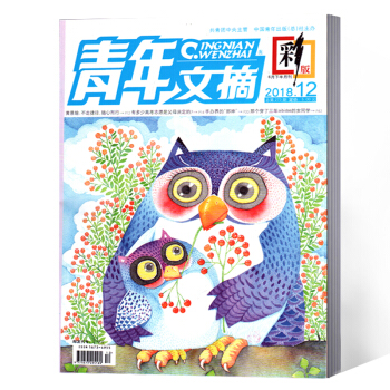 青年文摘杂志 彩版 2018年12期 pdf epub mobi 电子书 下载