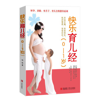 快乐育儿经 pdf epub mobi 下载