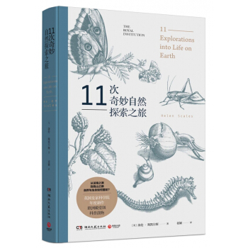 11次奇妙自然探索之旅 pdf epub mobi 下载