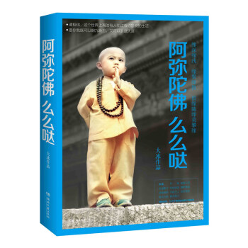 阿弥陀佛么么哒 大冰续乖摸摸头后新书 12个不舍得读完的暖心故事青春励志小说 pdf epub mobi 下载