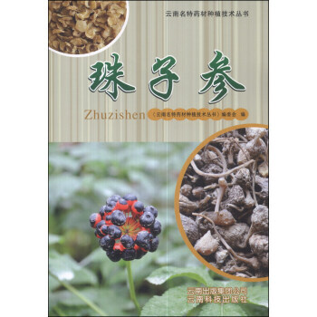 【XH】 珠子参 pdf epub mobi 下载