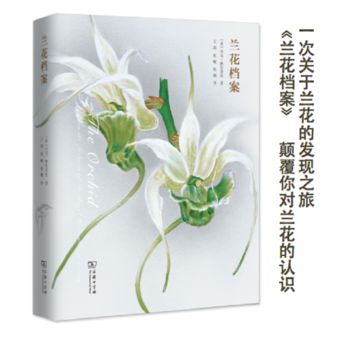 正版书籍 兰花档案 pdf epub mobi 下载