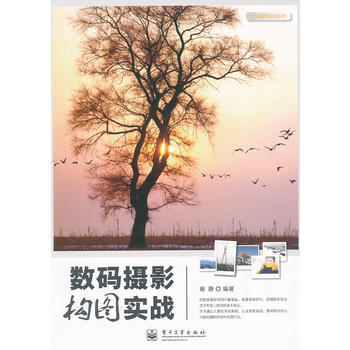 数码摄影构图实战(全彩) 谢静著 9787121144660 pdf epub mobi 下载