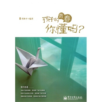孩子的青春你懂嗎？ 程鞦平著 9787121124570 pdf epub mobi 下载
