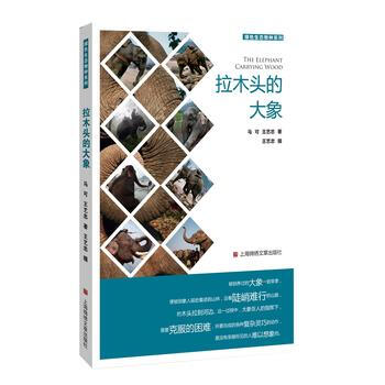 正版书籍 拉木头的大象