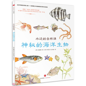 神秘的海洋生物-水边的自然课