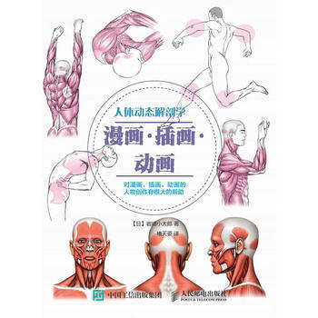 全新正版 人体动态解剖学:漫画·插画·动画 [日] 岩崎小太郎 pdf epub mobi 下载