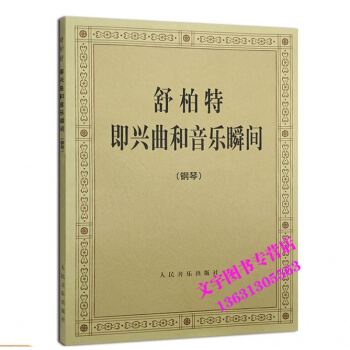 舒柏特即兴曲和音乐瞬间 钢琴练习曲谱书 人民音乐出版社 pdf epub mobi 电子书 下载