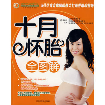 十月怀胎全图解 pdf epub mobi 下载