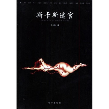 斯卡斯迷宫 殷龙龙 等；李云枫 绘 9787506021319 pdf epub mobi 下载