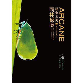 昆虫之美2：雨林秘境 李元胜 pdf epub mobi 下载