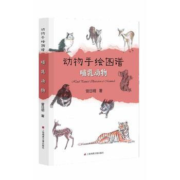 动物手绘图谱 哺乳动物 曾日明