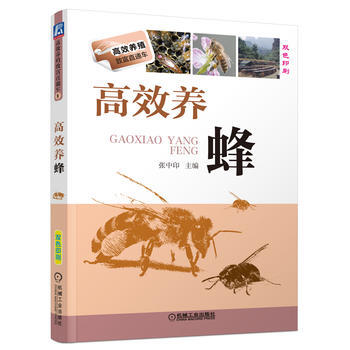 高效养蜂9787111447962 机械工业出版社 张中印