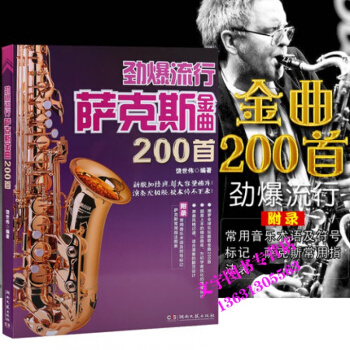 劲爆流行萨克斯金曲200首 萨克斯经典流行曲谱教材书籍 湖南文艺 pdf epub mobi 下载