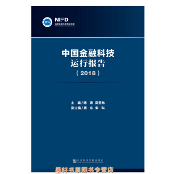 中國金融科技運行報告（2018）楊濤 賁聖林主編 社科文獻 pdf epub mobi 下载
