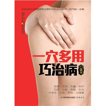 一穴多用巧治病口袋書 pdf epub mobi 電子書 下載