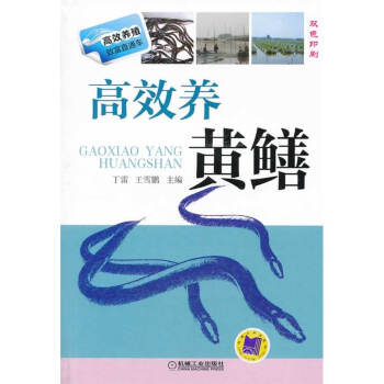 高效养黄鳝 pdf epub mobi 下载