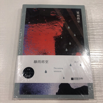 暴雨将至 pdf epub mobi 电子书 下载