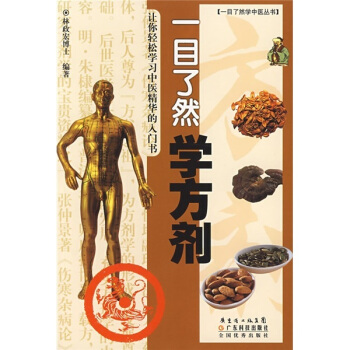 正版包邮 一目了然学方剂 一目了然学中医丛书 书籍 林政宏 9787535942807 pdf epub mobi 下载