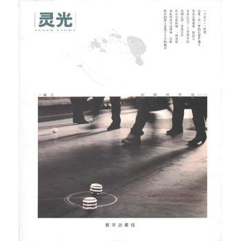 灵 光 pdf epub mobi 下载