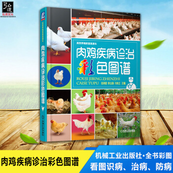 正版現貨 肉雞疾病診治彩色圖譜 高效養殖緻富直通車 科學養雞技術培訓教材 養雞書籍 高效養殖技術大全 pdf epub mobi 電子書 下載