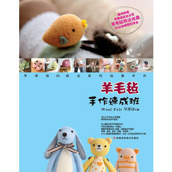 羊毛毡手作速成班 pdf epub mobi 下载
