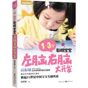 1～3岁聪明宝宝左脑右脑大开发(新版) pdf epub mobi 电子书 下载