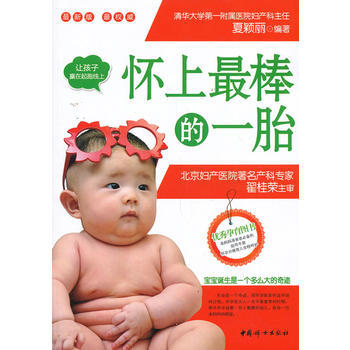 怀上棒的一胎 pdf epub mobi 电子书 下载