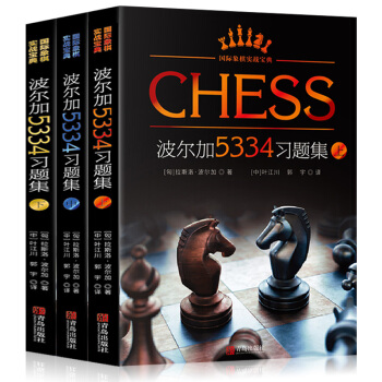 波尔加5334习题集 套装3册 人人都可以看懂的国际象棋实战宝典书籍 国际象棋入门教程 将杀杀王攻击 pdf epub mobi 下载