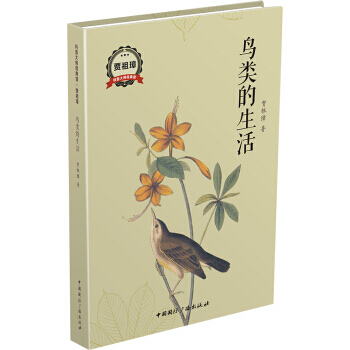 鸟类的生活