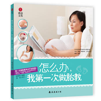 怎麼辦，我次做胎教 pdf epub mobi 下载