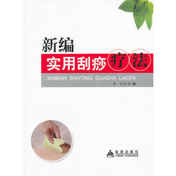 新编实用刮痧疗法 pdf epub mobi 电子书 下载