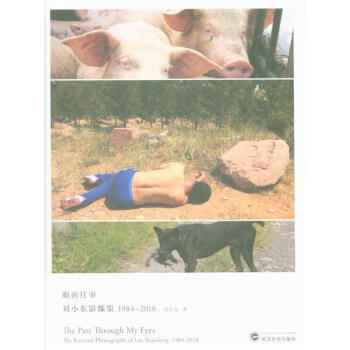眼前往事-刘小东影像集1984-2018 pdf epub mobi 下载