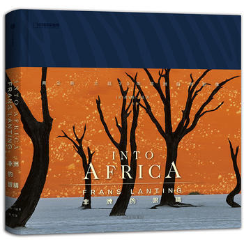 非洲的眼睛 pdf epub mobi 下载