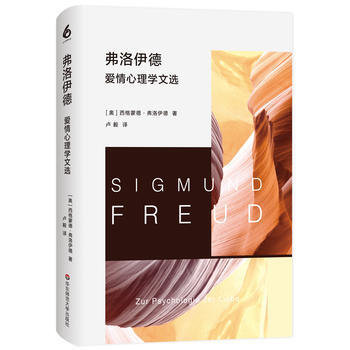 弗洛伊德爱情心理学文选 西格蒙德·弗洛伊德 pdf epub mobi 下载