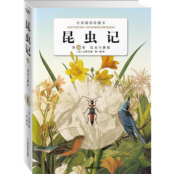 昆虫记：第十卷昆虫与蘑菇 (法)法布尔,陈一青 9787539038636 pdf epub mobi 下载