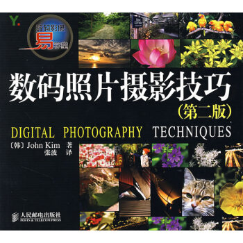 数码照片摄影技巧 pdf epub mobi 下载