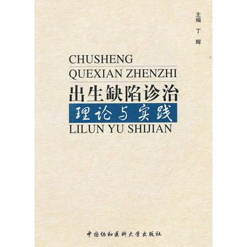 出生缺陷诊治理论与实践 丁辉 9787811364620 pdf epub mobi 下载