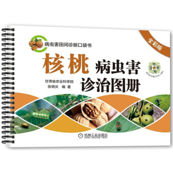 正版現貨 核桃病蟲害診治圖冊 全彩版 核桃高效栽培技術書籍 核桃栽培關鍵技術大全 核桃苗 pdf epub mobi 下载
