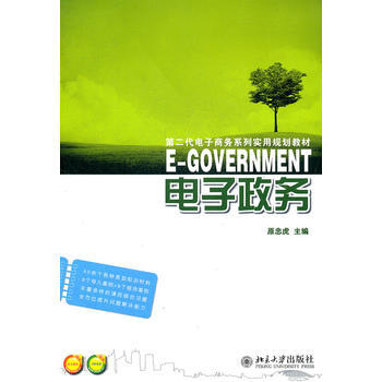 電子政務 原忠虎 9787301151631